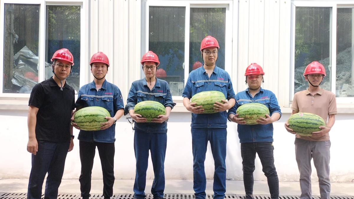 观复公司